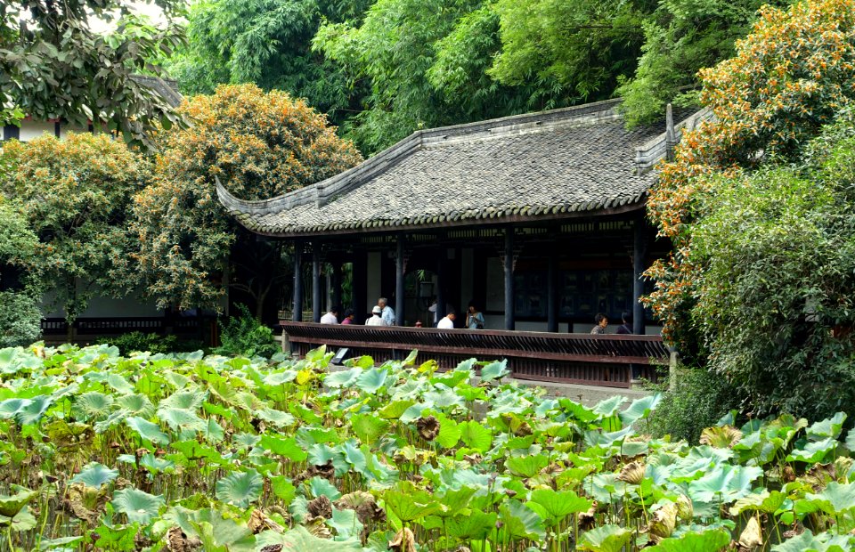 Pond and pavilion - Wuhou Shrine - Chengdu, China - DSC05436