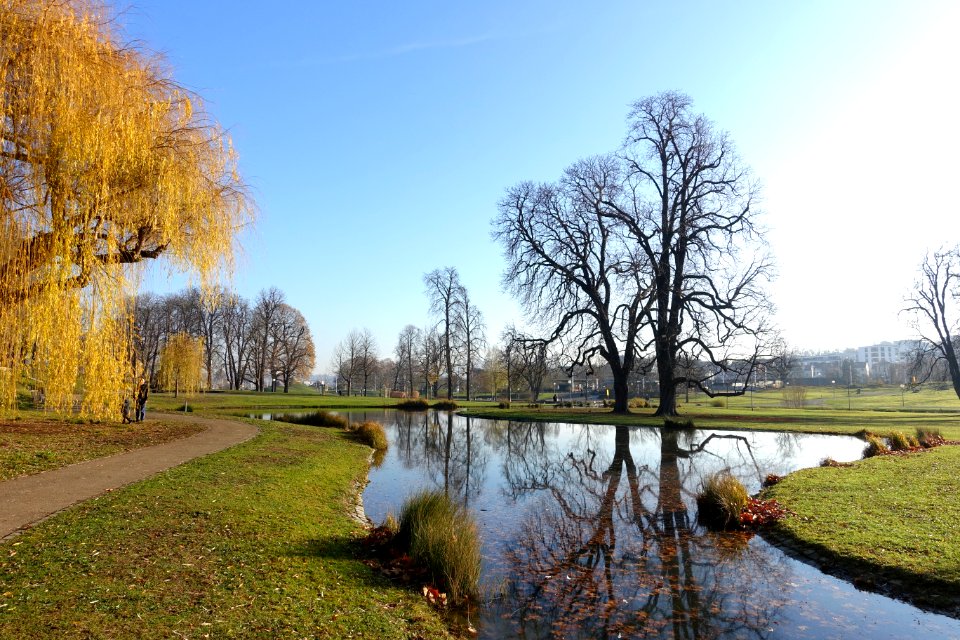Pond - Schlossgarten Stuttgart - Stuttgart, Germany - DSC01631