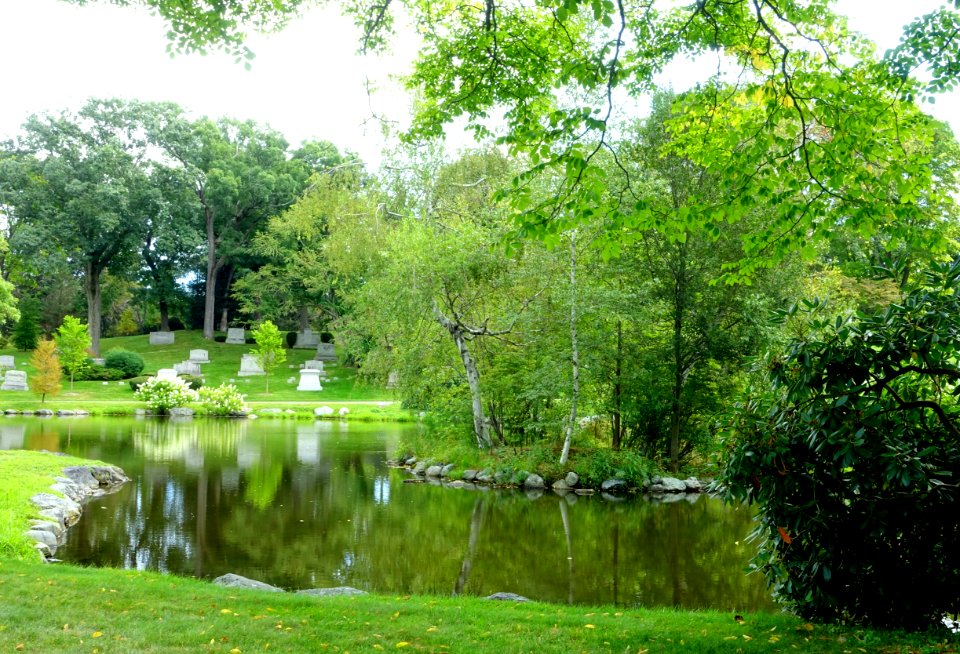 Pond - Newton Cemetery & Arboretum - Newton Center, MA - DSC07143