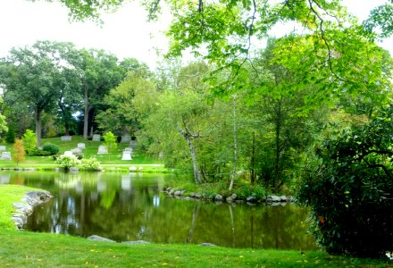 Pond - Newton Cemetery & Arboretum - Newton Center, MA - DSC07143