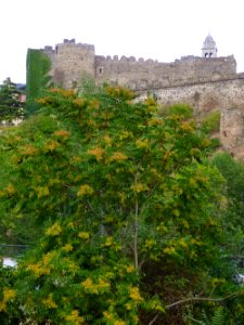 Ponferrada - Castillo Templario 01