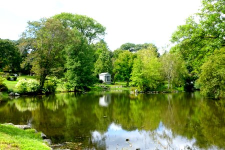 Pond - Newton Cemetery & Arboretum - Newton Center, MA - DSC07034