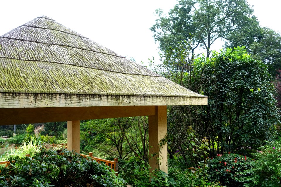 Pond house - Chengdu Botanical Garden - Chengdu, China - DSC03689