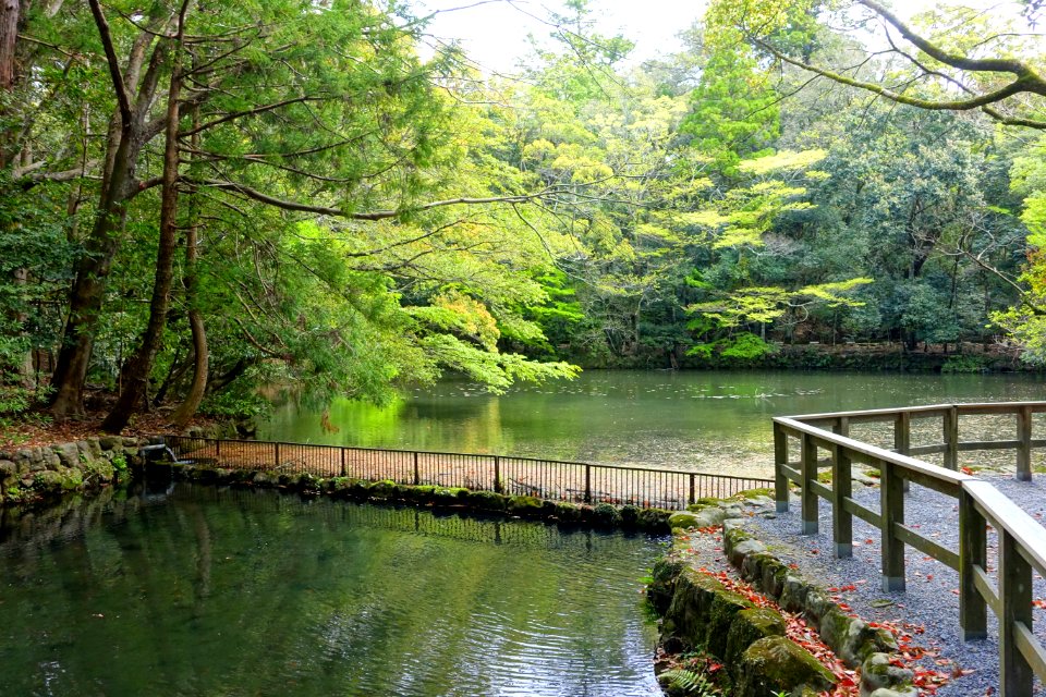 Pond - Naiku, Ise Shrine - Ise, Mie, Japan - DSC07740