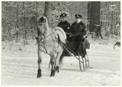 Politie met arrenslee in de Haarlemmerhout, NL-HlmNHA 54015585