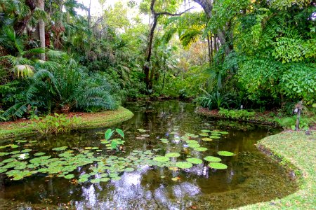 Pond - McKee Botanical Garden - Vero Beach, Florida - DSC03038