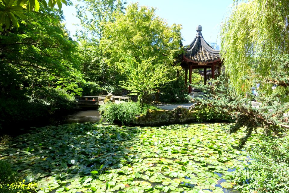 Pond with pavilion - Dr. Sun Yat-Sen Park - Vancouver, Canada - DSC09904