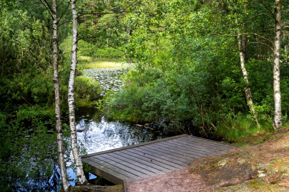 Pond and jetty at Fjällastugan 2