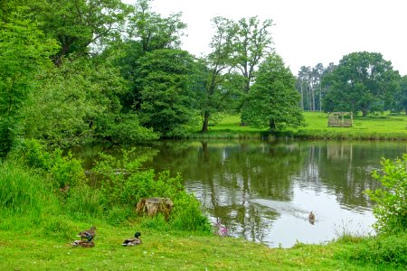 Pond - Packwood House - Warwickshire, England - DSC08748