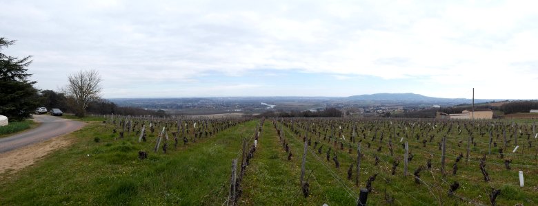Pommiers - Chemin de la Fontaine - Vue sur la vallée de Saône