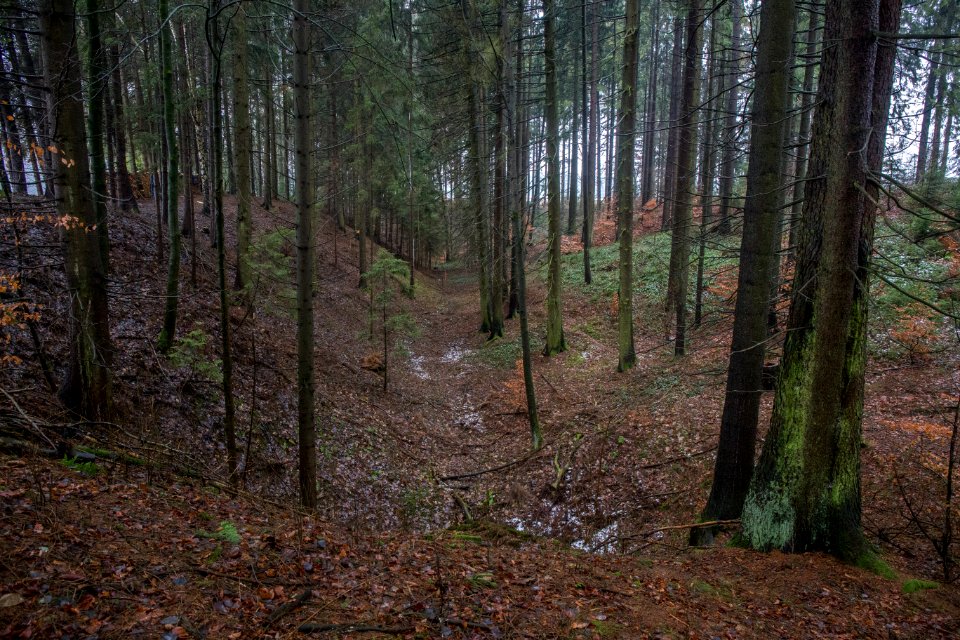 Ponordoline im Igelseeholz 001