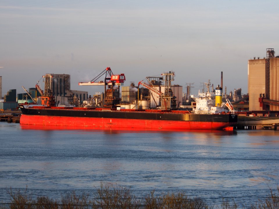 Polymnia - IMO 9598660, Beneluxhaven, Port of Rotterdam, pic1