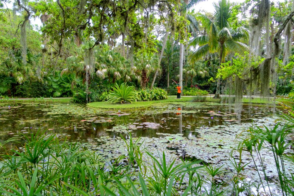Pond - McKee Botanical Garden - Vero Beach, Florida - DSC02980