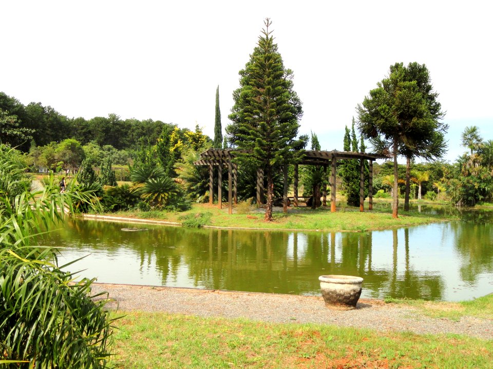 Pond - Jardim Botânico de Brasília - DSC09727