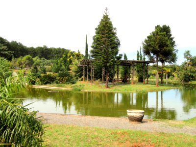 Pond - Jardim Botânico de Brasília - DSC09727