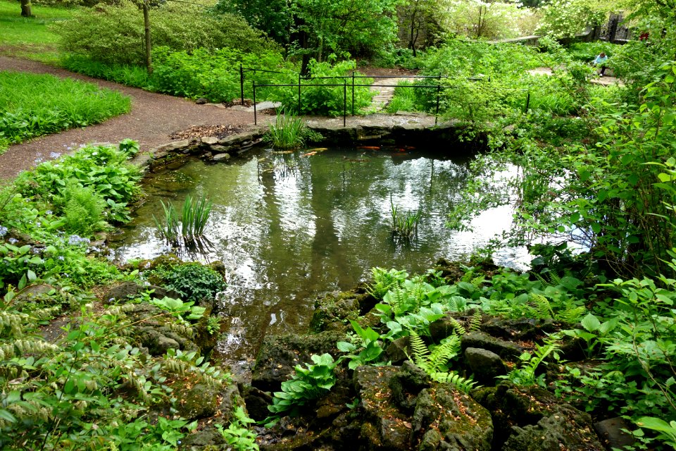 Pond - Winterthur Museum - DSC01667