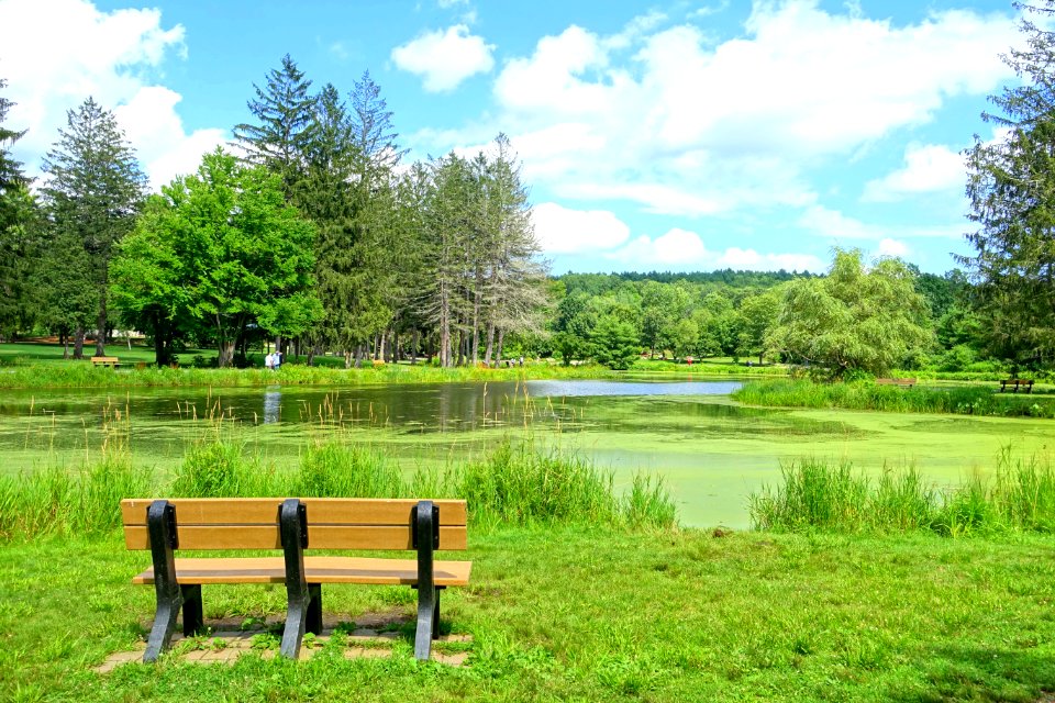 Pond bench - Benson Park - Hudson, New Hampshire - DSC07530