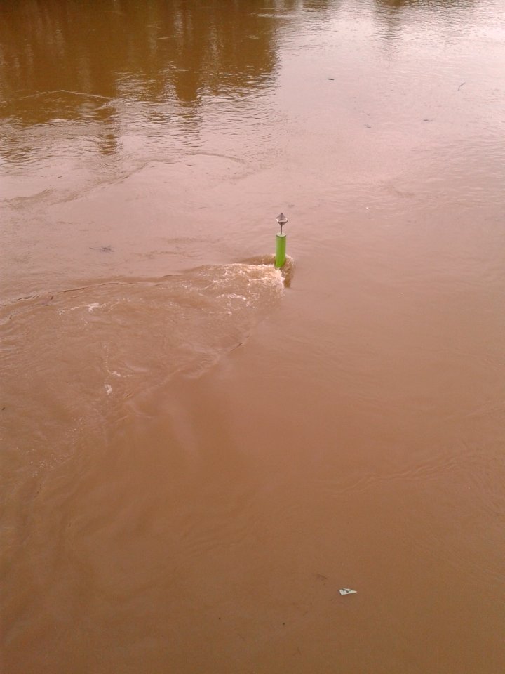 Pont de Levallois Seine en Crue Juin 2016 04