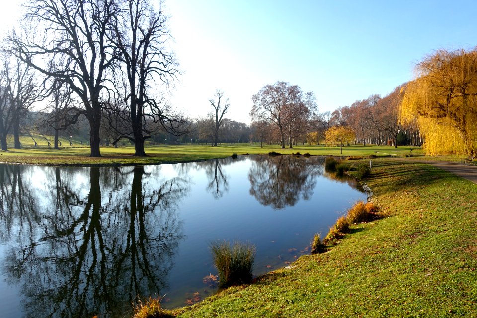 Pond - Schlossgarten Stuttgart - Stuttgart, Germany - DSC01636
