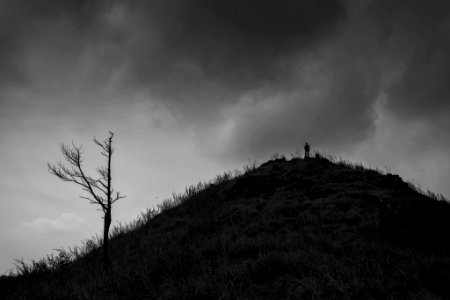 Ponmudi Kerala (188395839)