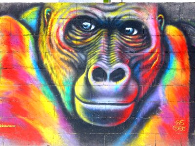 Ponferrada - graffiti & murals 12