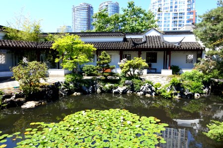 Pond - Dr. Sun Yat-Sen Classical Chinese Garden - Vancouver, Canada - DSC09802