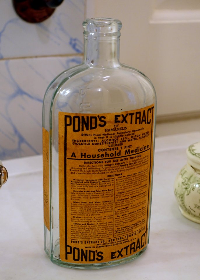 Pond's Extract - Great House - Castle Hill on the Crane Estate - Ipswich, Massachusetts - DSC06245