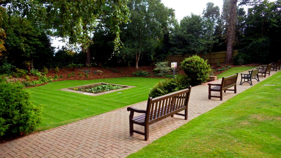 Pond, Manor Gardens, Bexhill