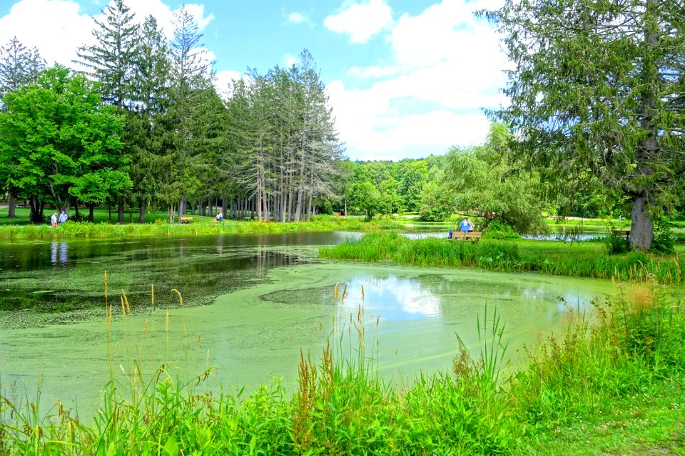 Pond - Benson Park - Hudson, New Hampshire - DSC07534