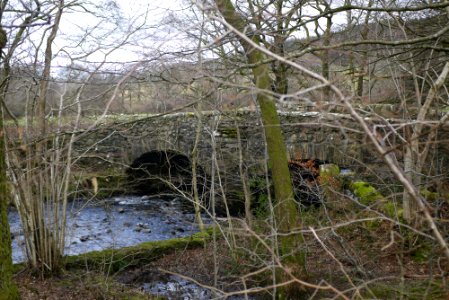 Pont Gwanas,A470 (N.Side)