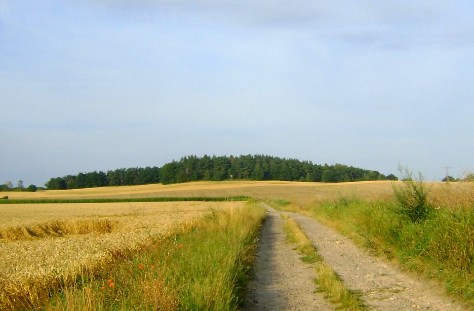 Popiel 1.mit