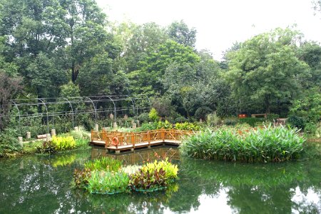 Pond - Chengdu Botanical Garden - Chengdu, China - DSC03686