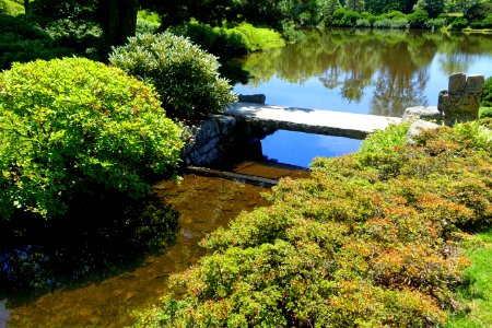 Pond - Asticou Azalea Garden - Northeast Harbor, Maine - DSC03618