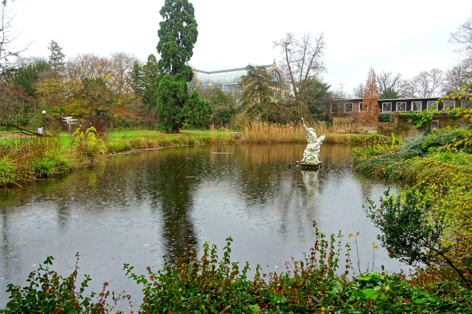 Pond - Flora park - Cologne, Germany - DSC00575