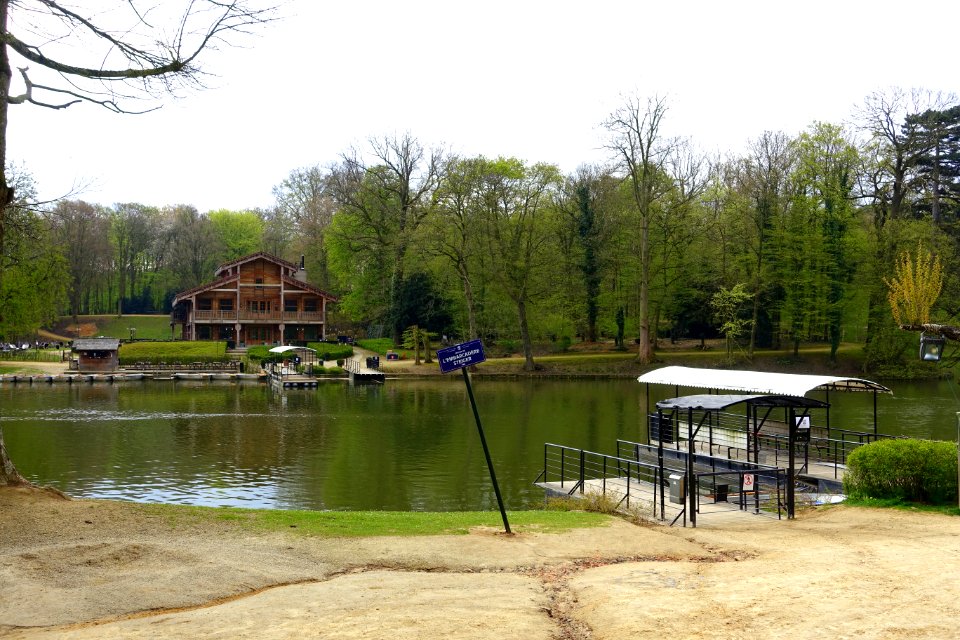 Pond - Bois de la Cambre or Ter Kamerenbos - Brussels, Belgium - DSC06600