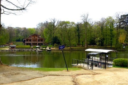 Pond - Bois de la Cambre or Ter Kamerenbos - Brussels, Belgium - DSC06600