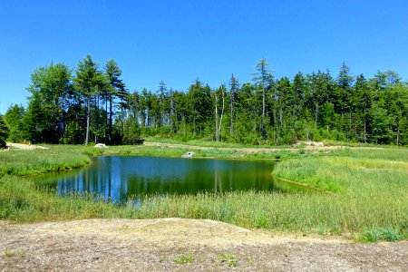 Pond - Coastal Maine Botanical Gardens - DSC03092