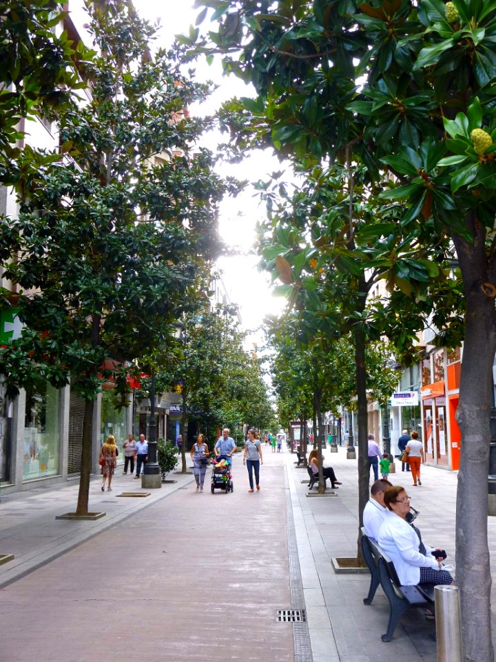 Ponferrada - Avenida Pérez Colino 1