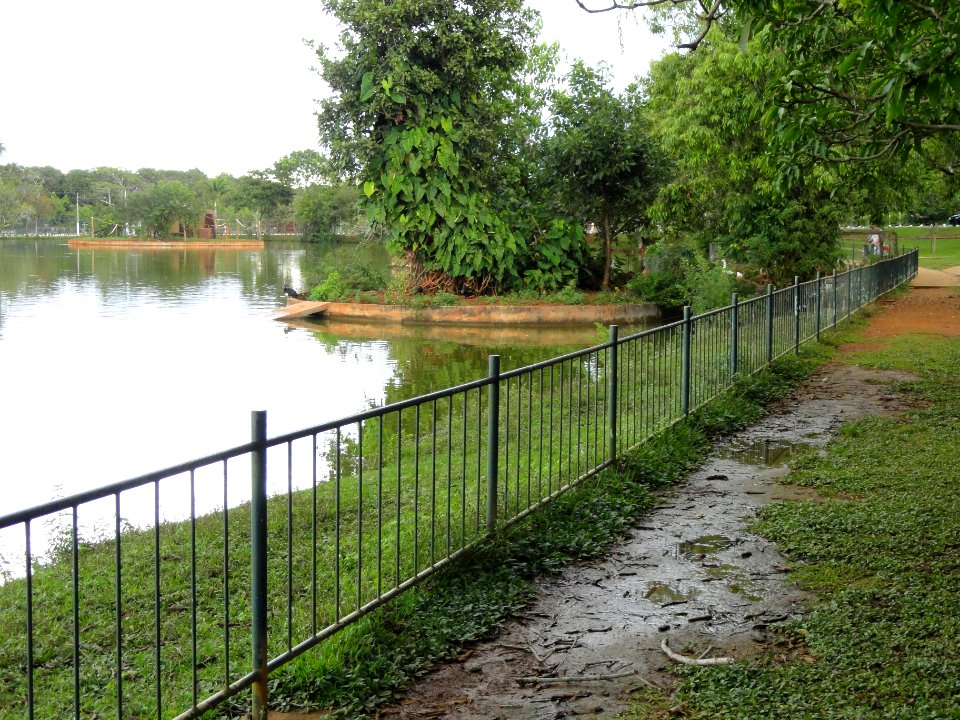 Pond - Jardim Zoológico de Brasília - DSC09901