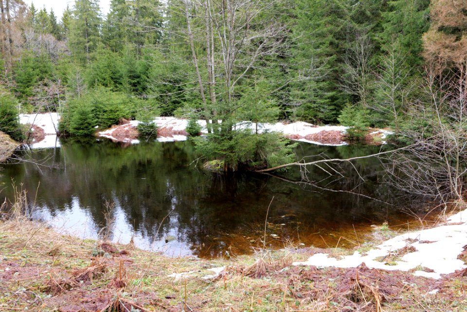 Plonteich 2020-03-11 02