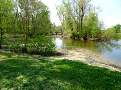 Pompton Lake in Pompton Lakes NJ near Boy Scout cabin