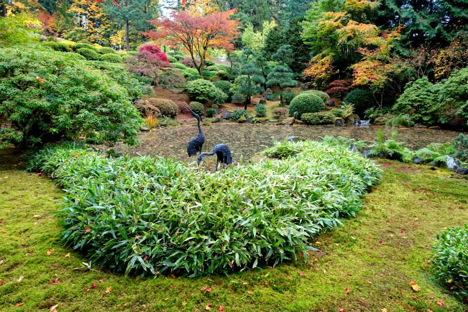 Pond - Portland Japanese Garden - Portland, Oregon - DSC08276