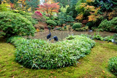 Pond - Portland Japanese Garden - Portland, Oregon - DSC08276