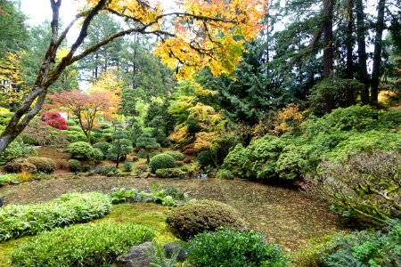 Pond - Portland Japanese Garden - Portland, Oregon - DSC08269