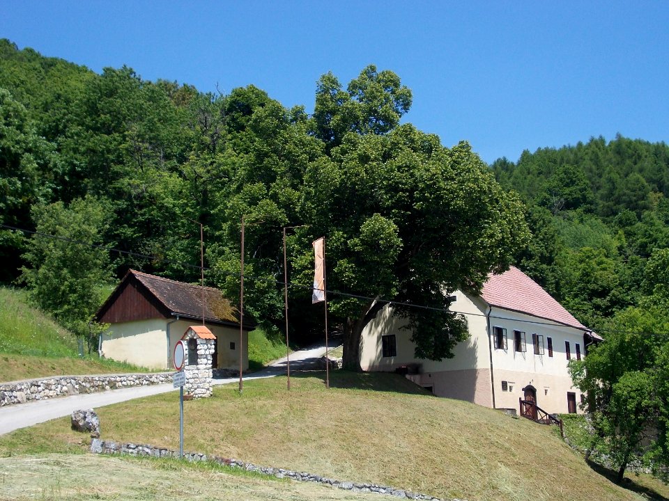 Pleteršnik House 11