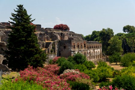 Pompeii buildings