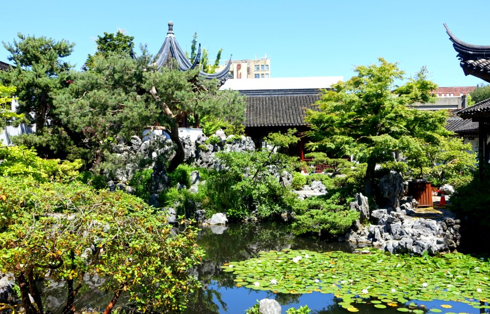 Pond - Dr. Sun Yat-Sen Classical Chinese Garden - Vancouver, Canada - DSC09835