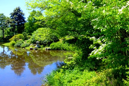 Pond - Asticou Azalea Garden - Northeast Harbor, Maine - DSC03474