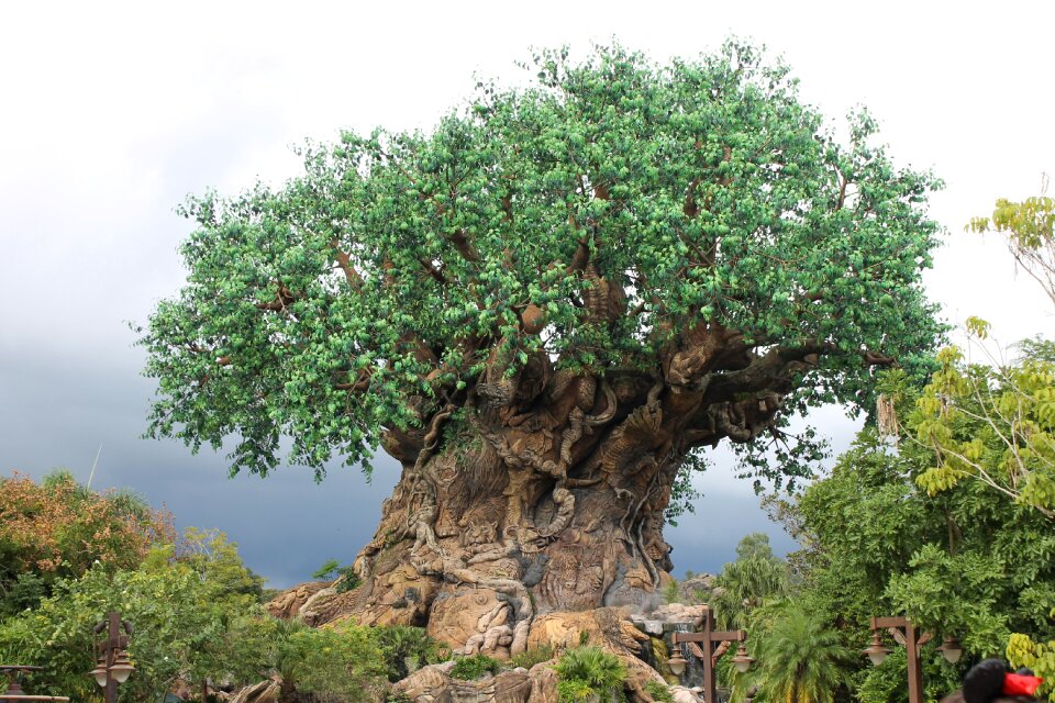 Animal kingdom tourism attraction