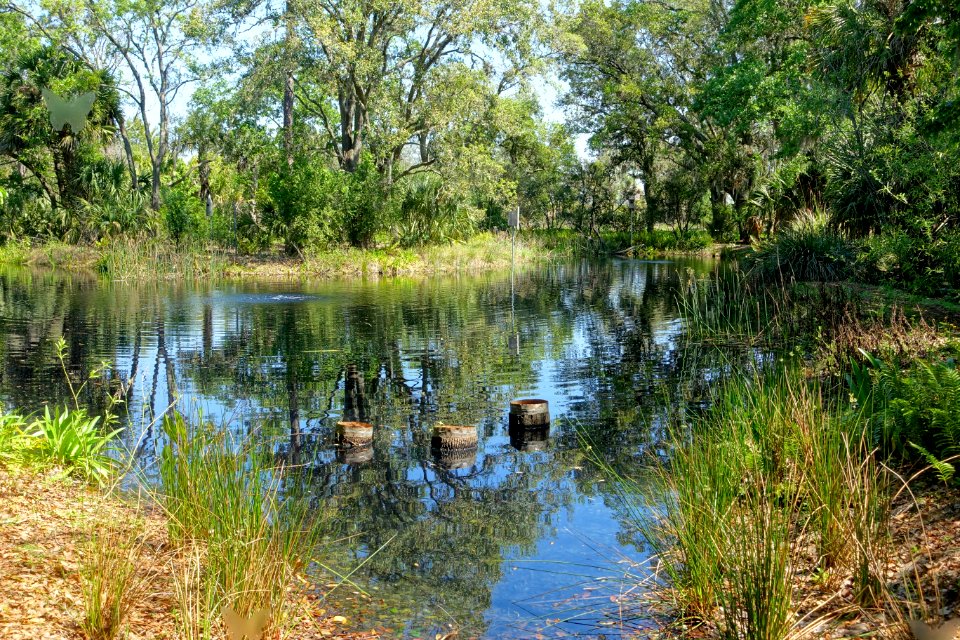 Pond - Bok Tower Gardens - DSC02103
